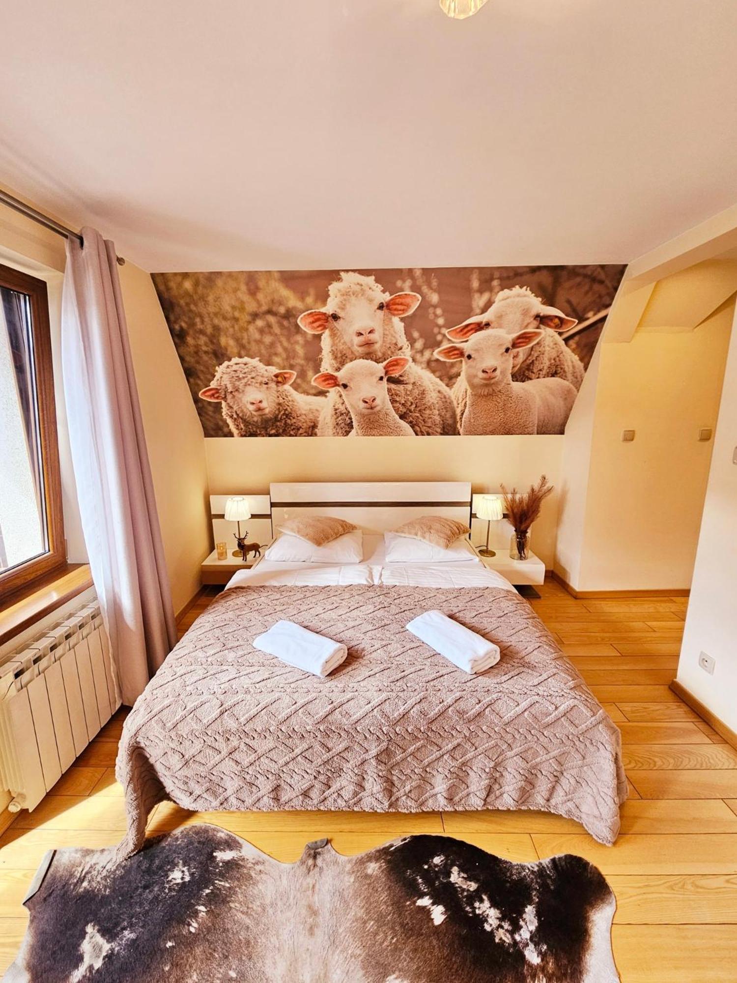 Willa Regina II Resort & Spa Zakopane Exterior photo